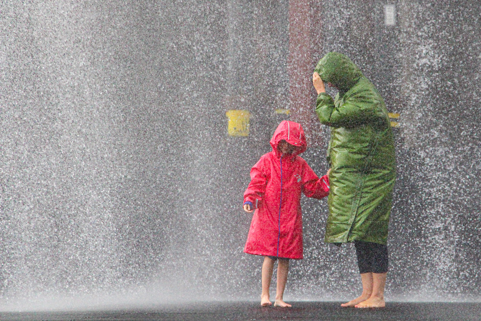 AK3 Rainer Bien Weather Girls Urkunde